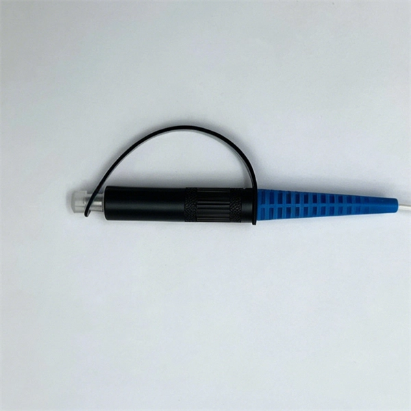 Intelligent Multi-Wavelength Light Source for Campus Networks