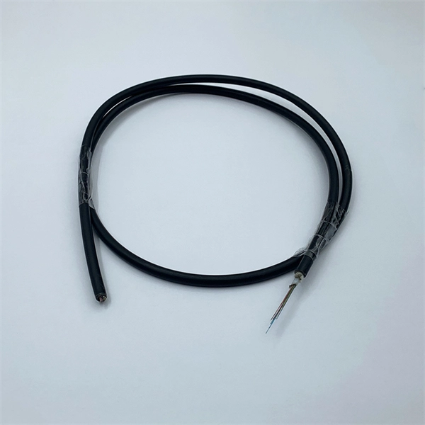 Wlan optical cable